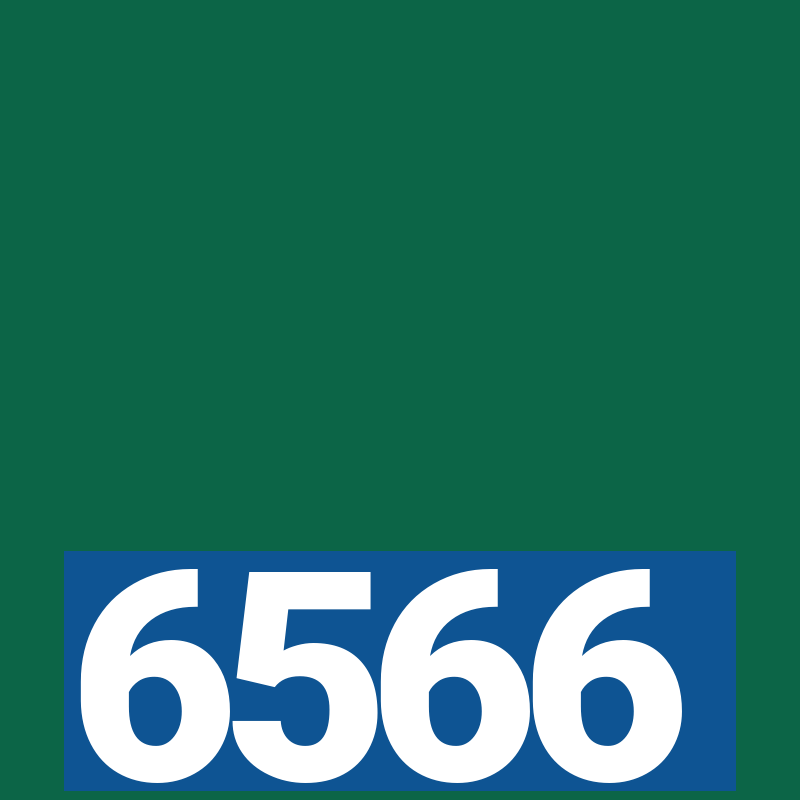 6566