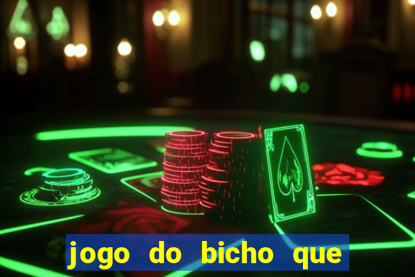 jogo do bicho que paga no pix