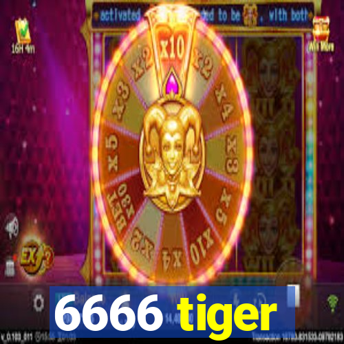 6666 tiger