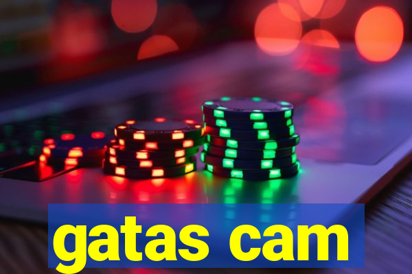 gatas cam