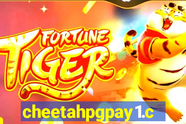 cheetahpgpay1.com