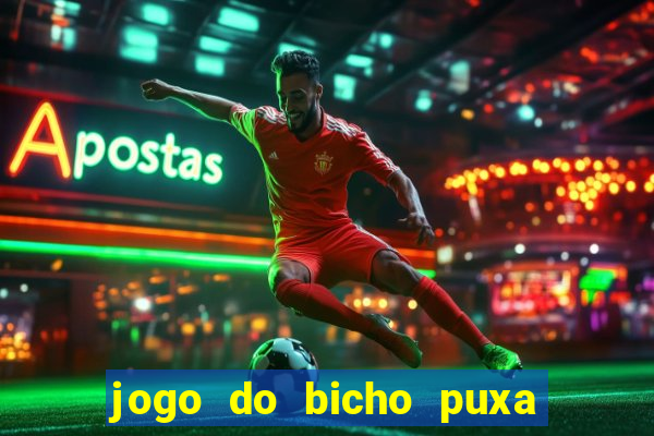 jogo do bicho puxa de dona maria