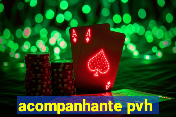 acompanhante pvh