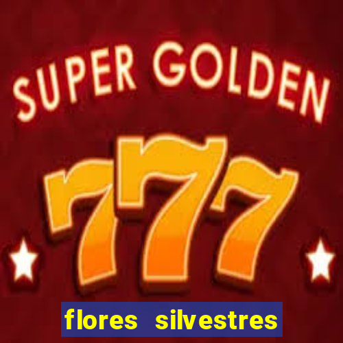 flores silvestres desbravadores desbravadores 25 flores silvestres e seus nomes