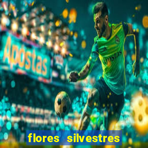 flores silvestres desbravadores desbravadores 25 flores silvestres e seus nomes