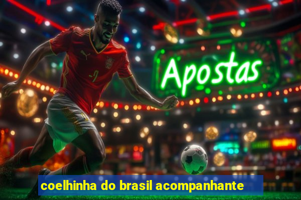 coelhinha do brasil acompanhante