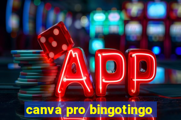 canva pro bingotingo