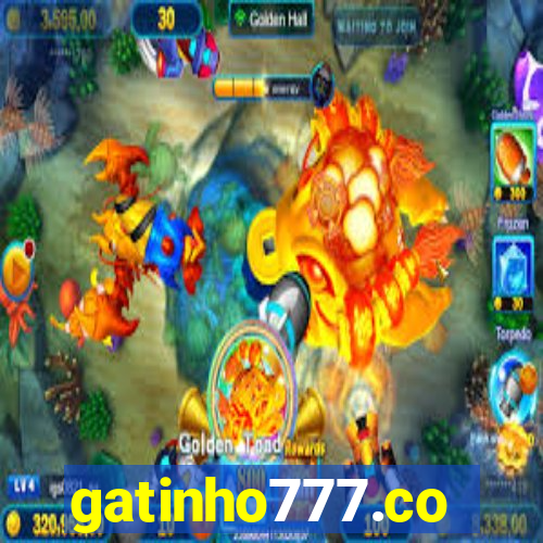 gatinho777.co