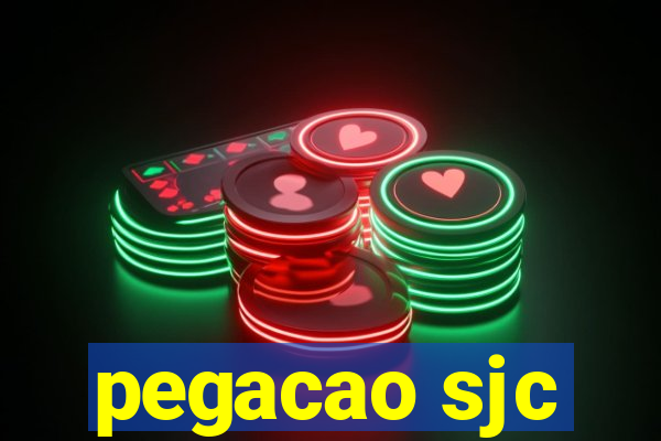 pegacao sjc