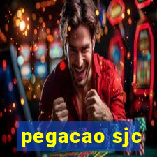 pegacao sjc