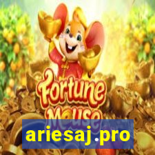 ariesaj.pro