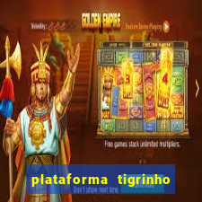 plataforma tigrinho 1 real