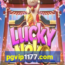 pgvip1177.com