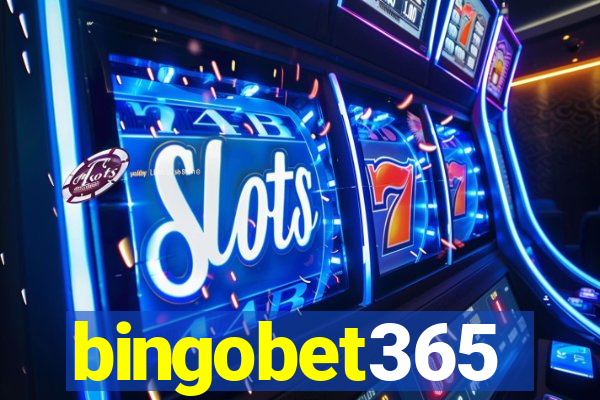 bingobet365