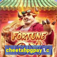 cheetahpgpay1.com