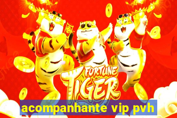 acompanhante vip pvh