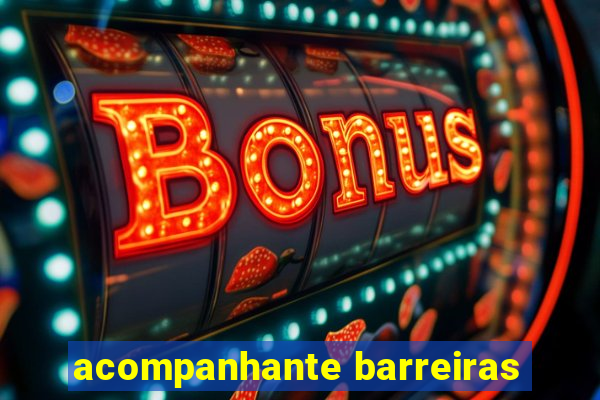 acompanhante barreiras