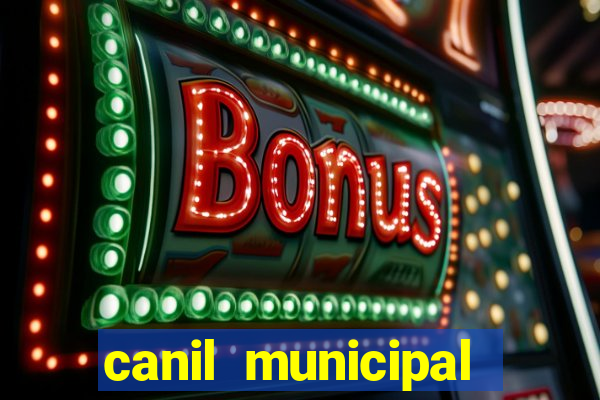 canil municipal porto alegre