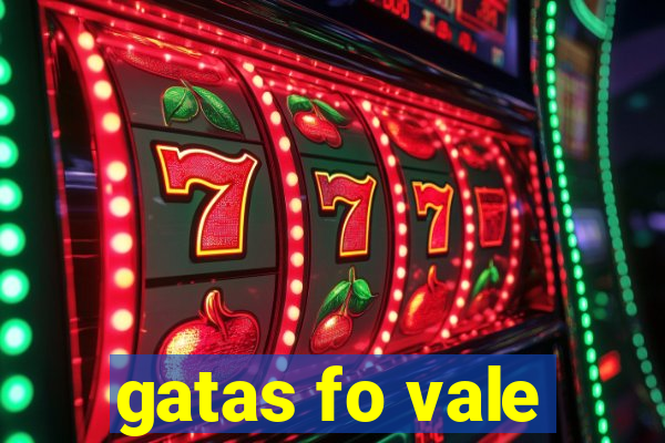 gatas fo vale