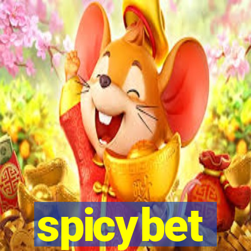 spicybet-3.com