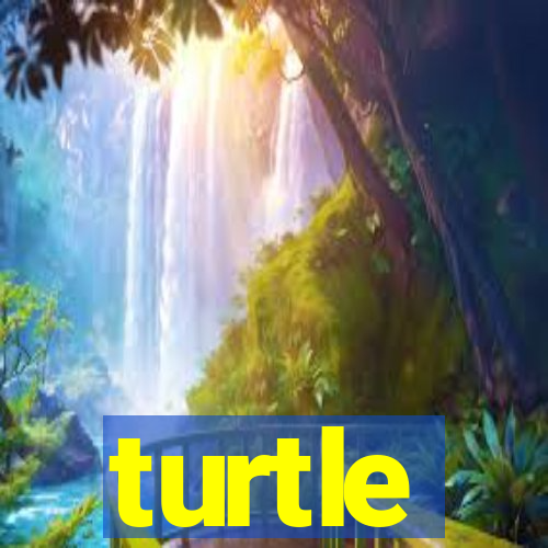 turtle-ty.com