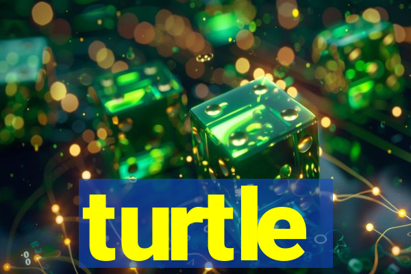 turtle-ty.com